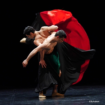 Danse | Ballet Julien Lestel